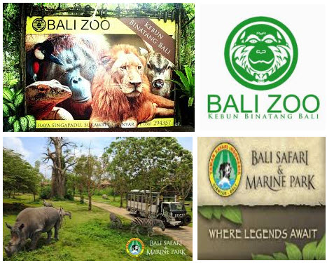 Wisata Kebun Binatang di Bali