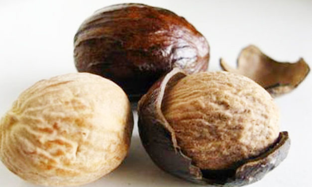 Buah Pala Ternyata Sangat Bermanfaat untuk Tubuh, Loh!